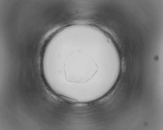 X0000116791406201001291509