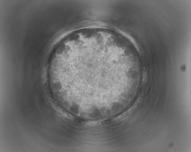 X0000116791407201001291509