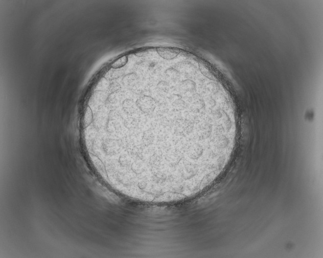 X0000116791408201001291509