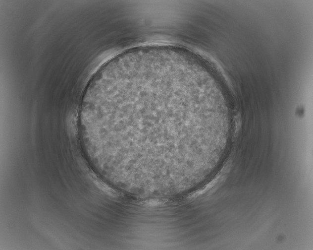 X0000116791409201001291509