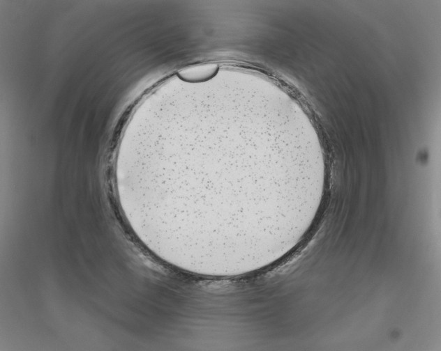 X0000116791410201001291509