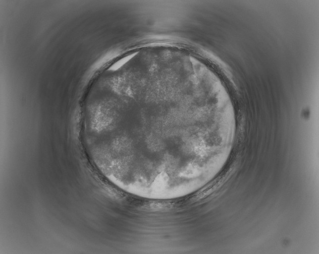X0000116791411201001291509