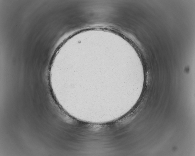 X0000116791412201001291509