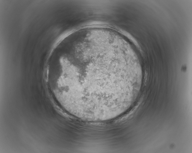 X0000116791413201001291509