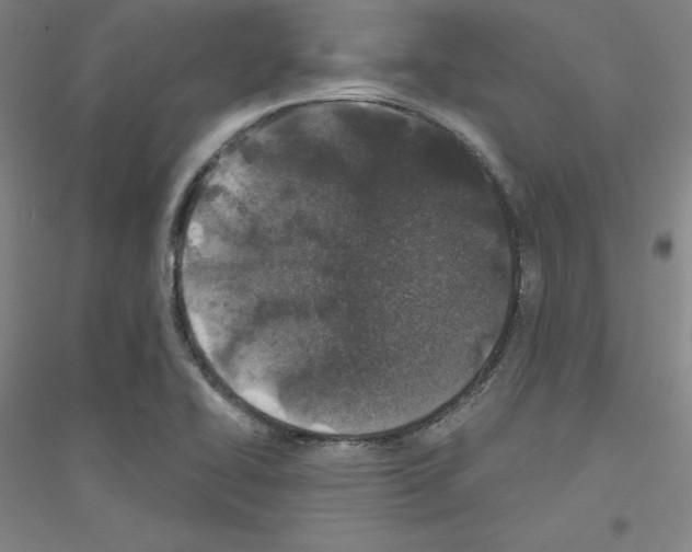 X0000116791414201001291509