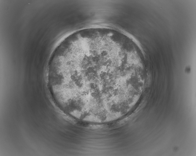 X0000116791415201001291509
