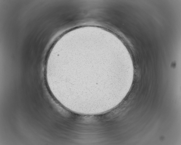 X0000116791416201001291509