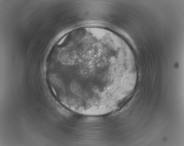 X0000116791419201001291509