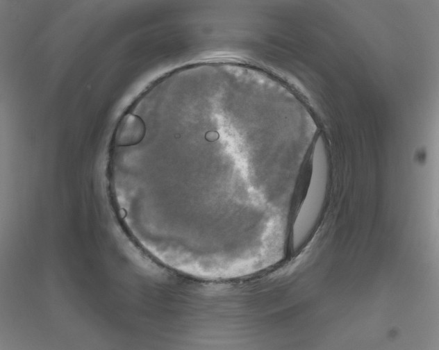 X0000116791422201001291509