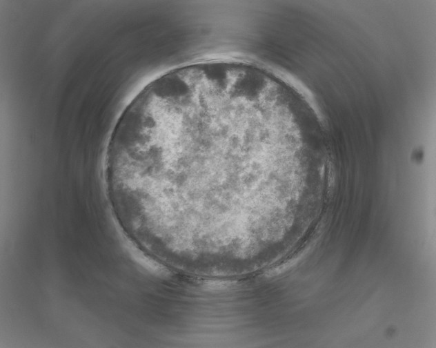 X0000116791423201001291509