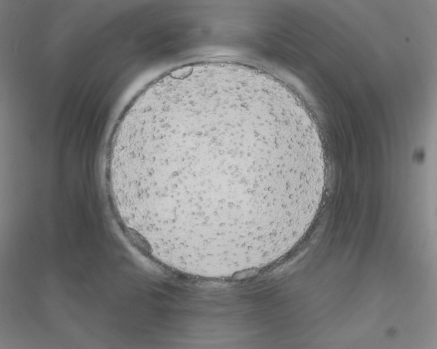X0000116791424201001291509