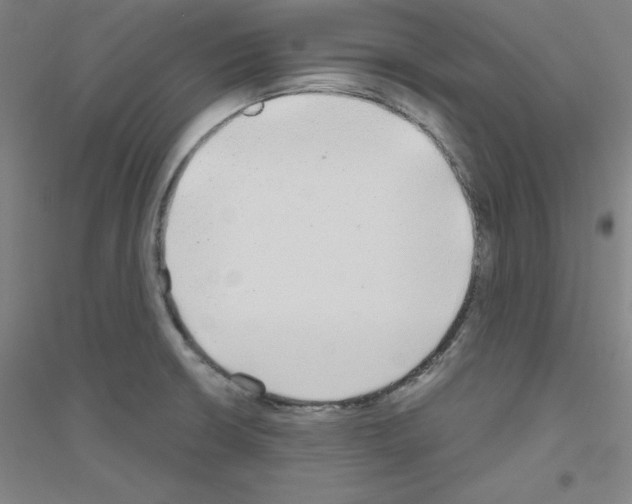 X0000116791426201001291509