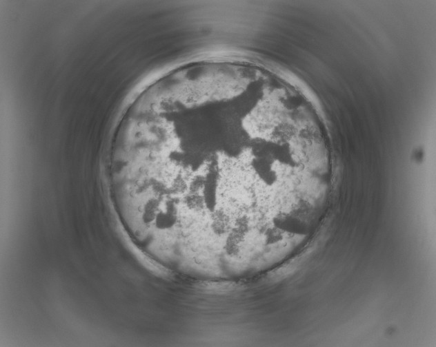 X0000116791429201001291509