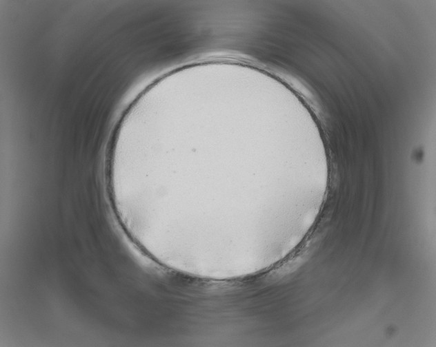 X0000116791430201001291509