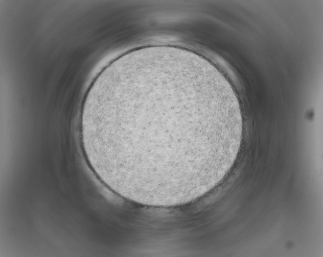 X0000116791432201001291509