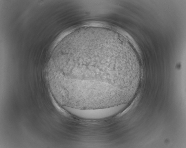 X0000116791433201001291509