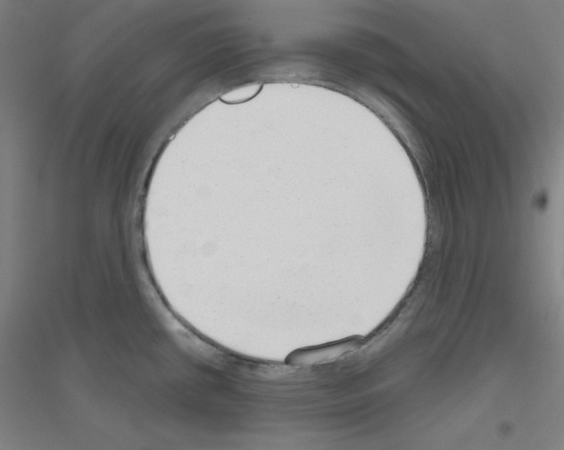 X0000116791434201001291509