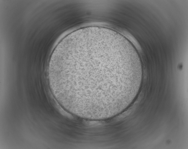 X0000116791436201001291509