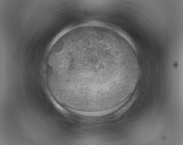 X0000116791438201001291509