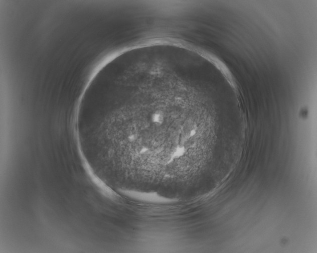 X0000116791439201001291509