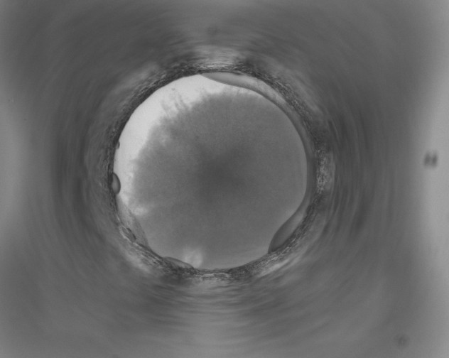 X0000116791441201001291509