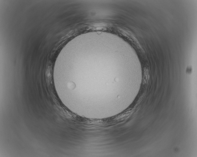 X0000116791442201001291509