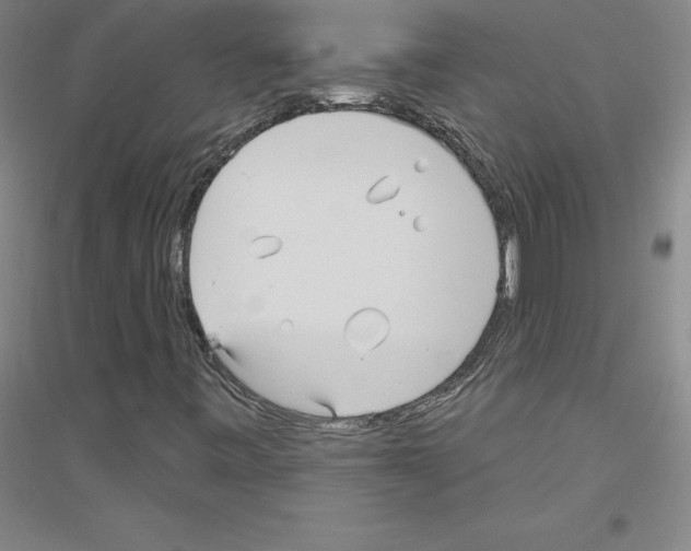X0000116791443201001291509