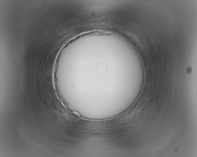 X0000116791444201001291509