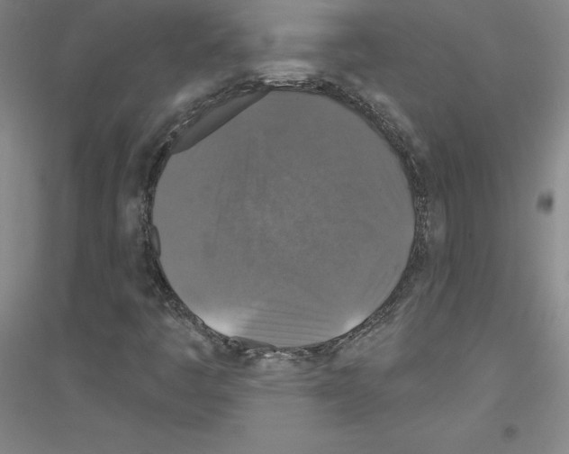 X0000116791445201001291509