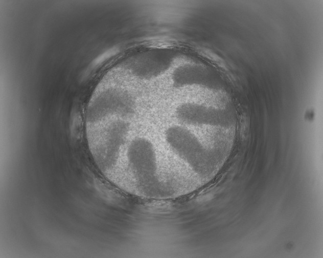 X0000116791446201001291509