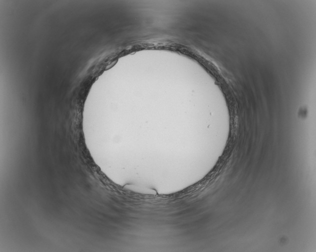 X0000116791447201001291509
