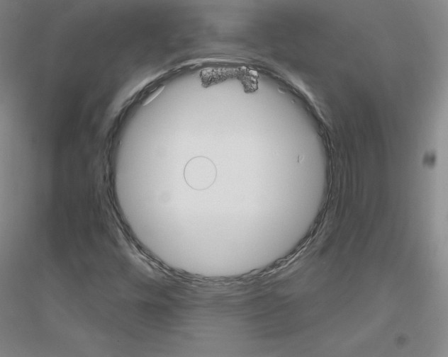 X0000116791448201001291509