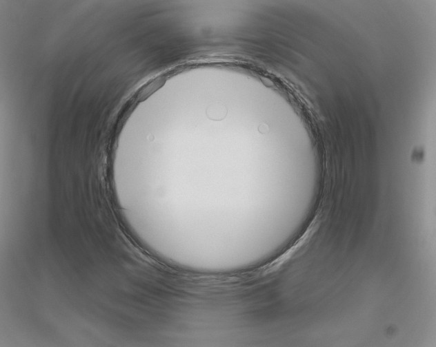 X0000116791449201001291509