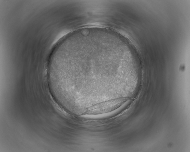 X0000116791450201001291509