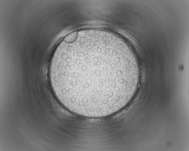 X0000116791451201001291509