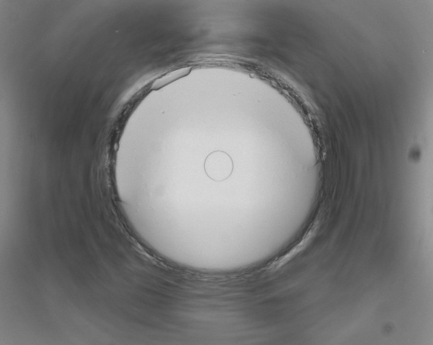 X0000116791453201001291509