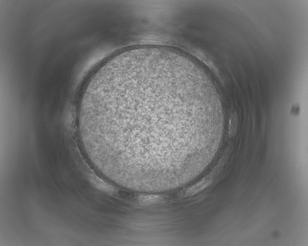 X0000116791454201001291509