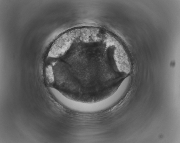 X0000116791455201001291509