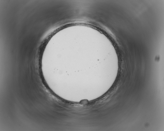 X0000116791456201001291509