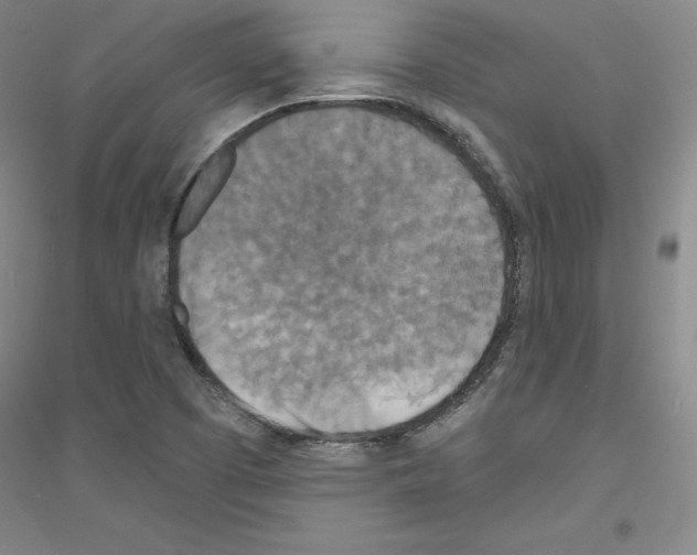 X0000116791457201001291509