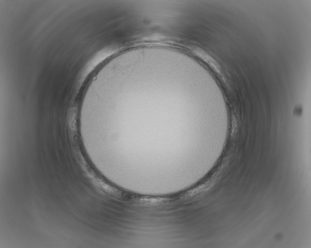 X0000116791458201001291508