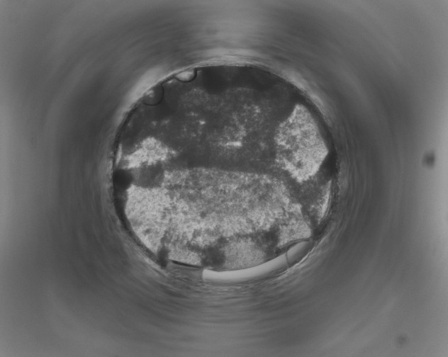 X0000116791459201001291508