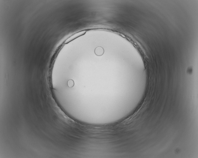X0000116791460201001291508