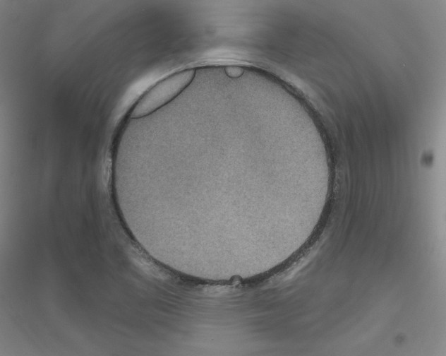 X0000116791461201001291508