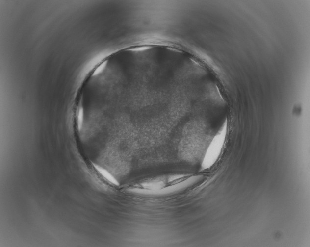 X0000116791463201001291508