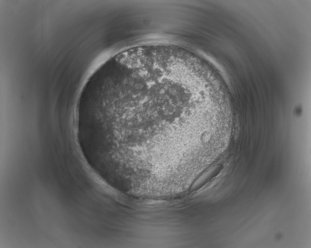 X0000116791467201001291508