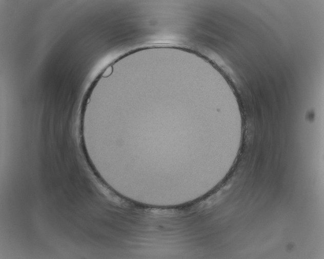 X0000116791469201001291508