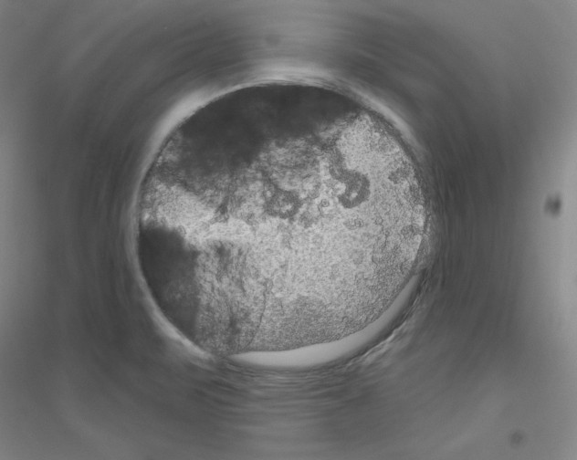 X0000116791471201001291508