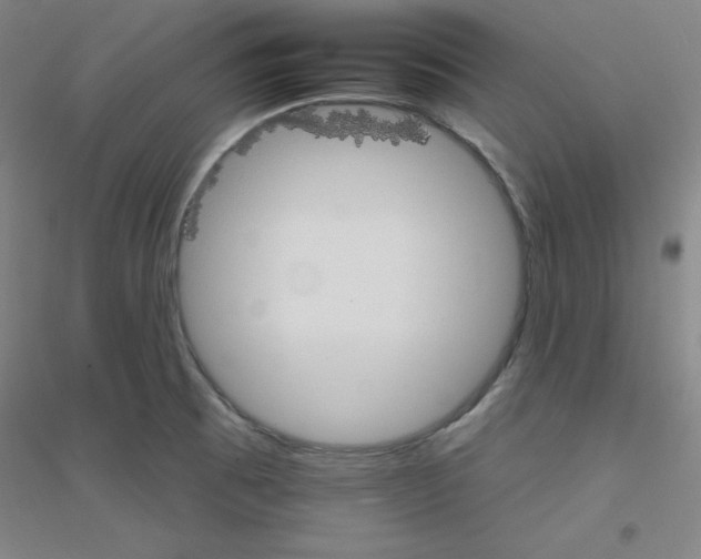 X0000116791473201001291508