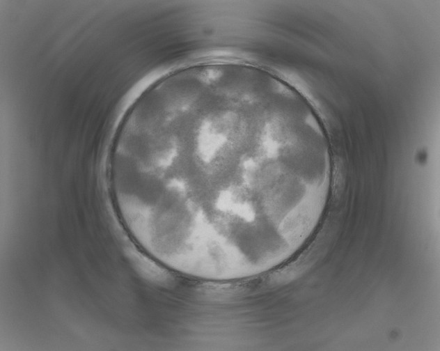 X0000116791474201001291508
